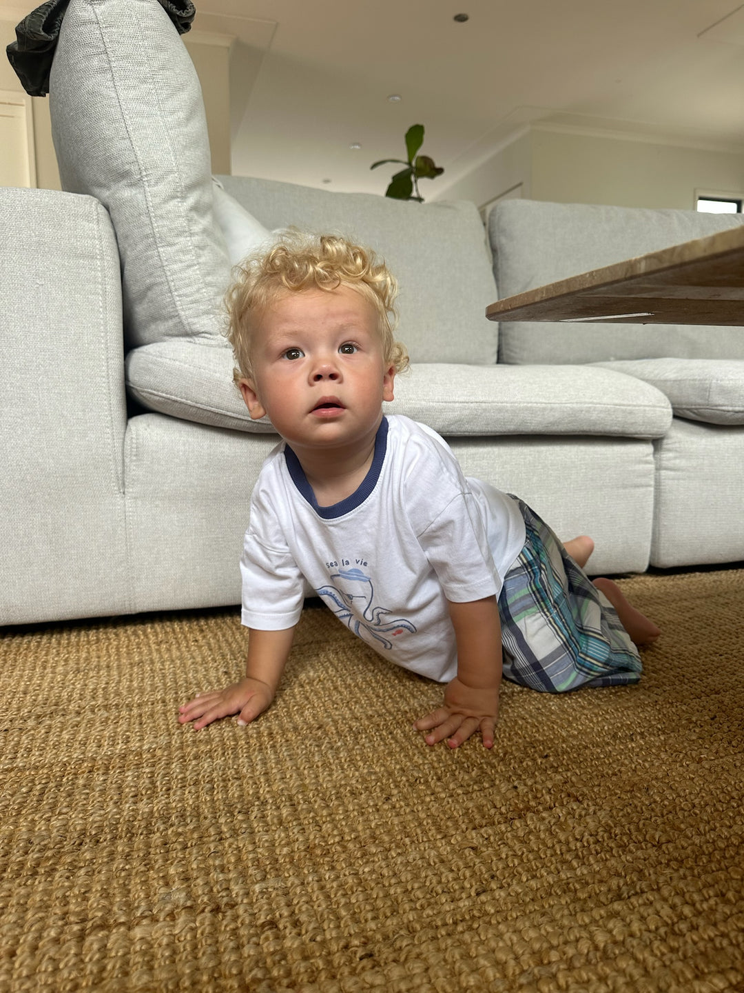 Oshkosh plaid shorts