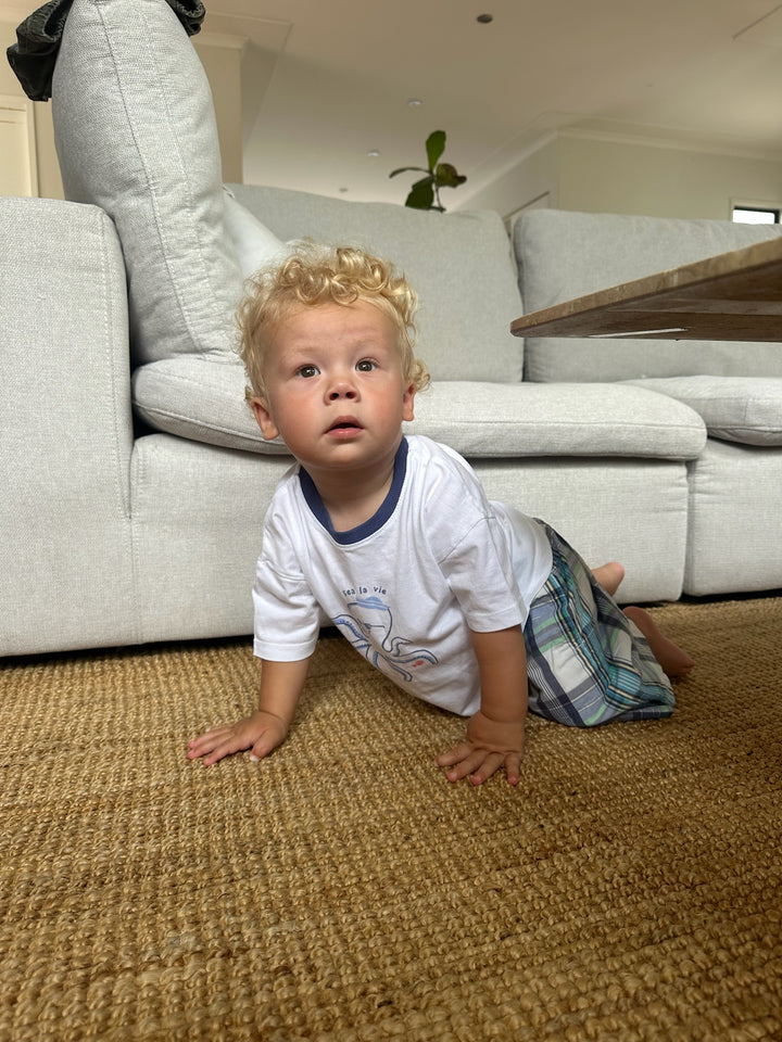 Oshkosh plaid shorts