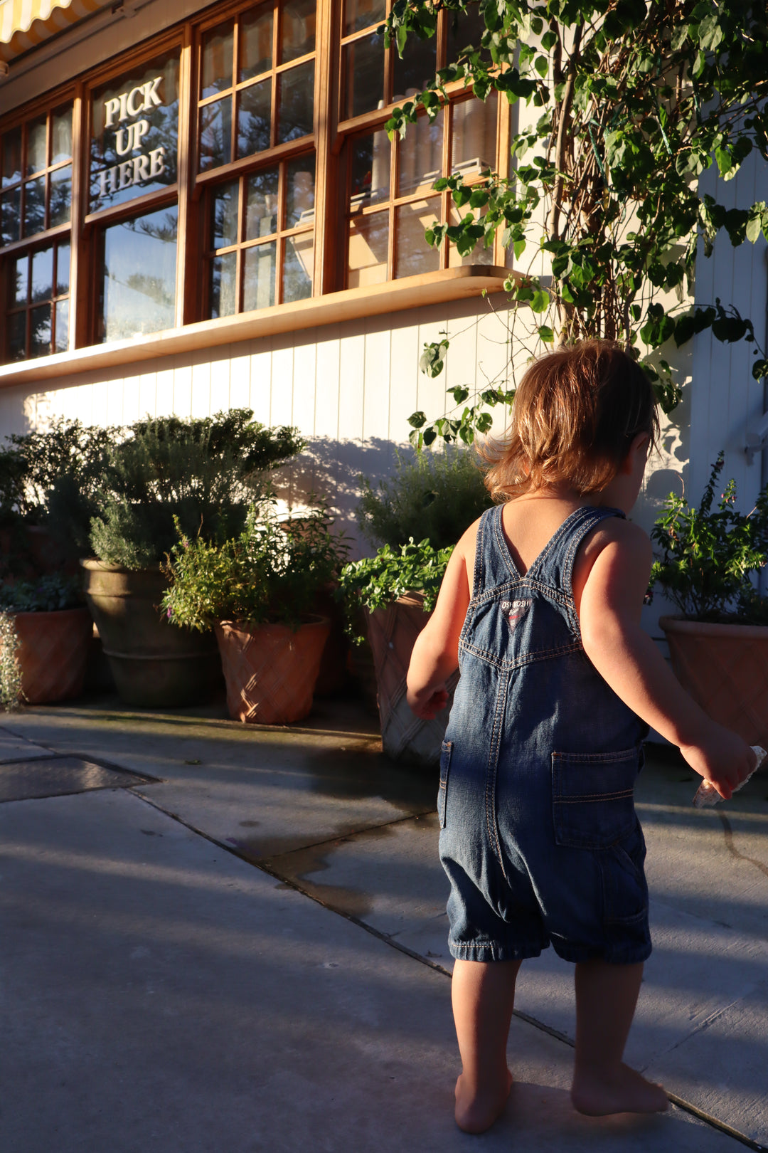 Oshkosh short denim overalls