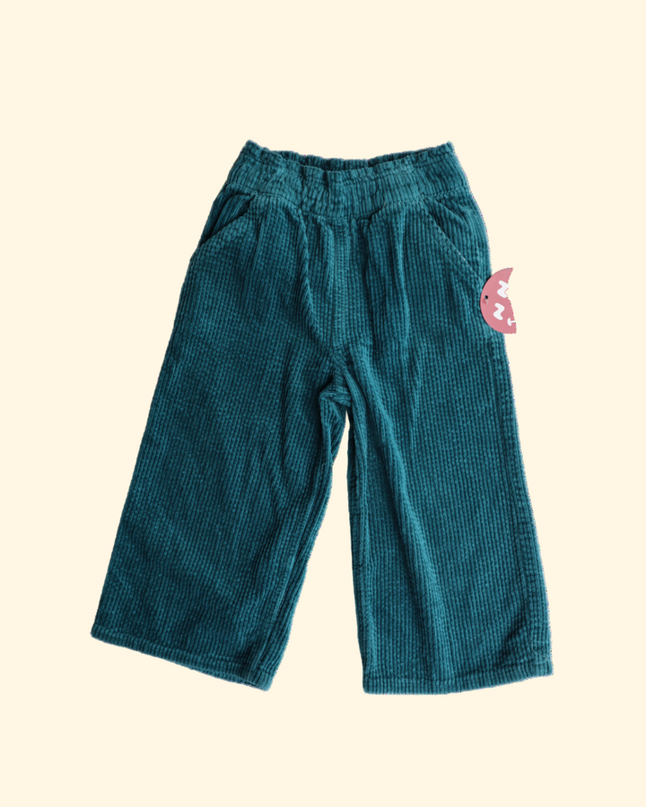 Corduroy pants