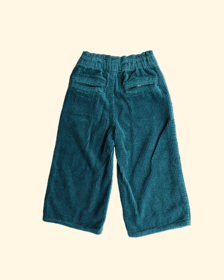 Corduroy pants